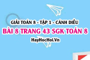 Giải bài 8 trang 43 Toán 8 Tập 1 SGK Cánh Diều